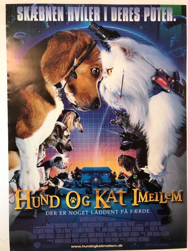 Hund og Kat imellem